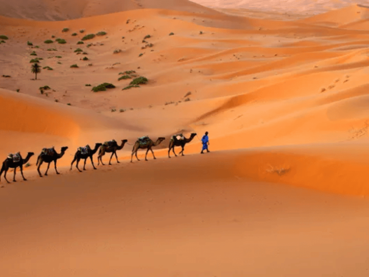 Circuits touristiques Maroc : Découvrez les trésors du Royaume avec ces 5 itinéraires inoubliables !