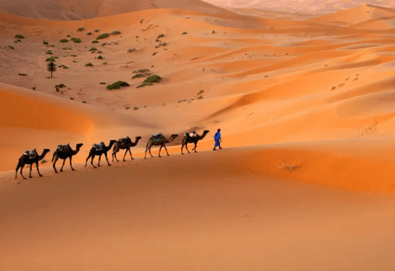 Circuits touristiques Maroc : Découvrez les trésors du Royaume avec ces 5 itinéraires inoubliables !